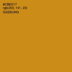 #CB8D17 - Geebung Color Image