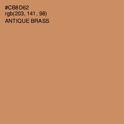 #CB8D62 - Antique Brass Color Image