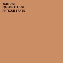 #CB8D63 - Antique Brass Color Image