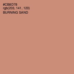 #CB8D78 - Burning Sand Color Image