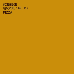 #CB8E0B - Pizza Color Image
