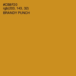#CB8F20 - Brandy Punch Color Image