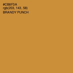 #CB8F3A - Brandy Punch Color Image