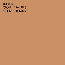 #CB9064 - Antique Brass Color Image