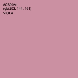 #CB90A1 - Viola Color Image