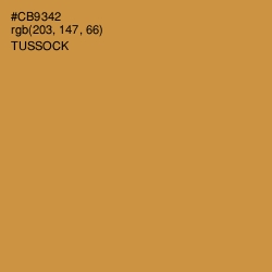 #CB9342 - Tussock Color Image