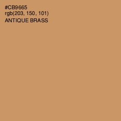 #CB9665 - Antique Brass Color Image