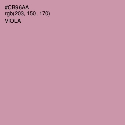 #CB96AA - Viola Color Image