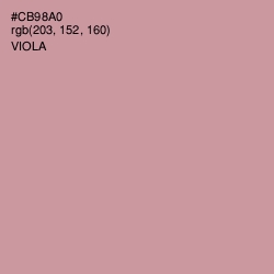 #CB98A0 - Viola Color Image