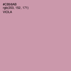 #CB98AB - Viola Color Image