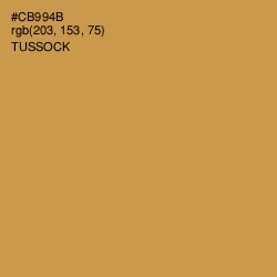 #CB994B - Tussock Color Image
