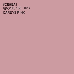 #CB9BA1 - Careys Pink Color Image