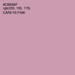 #CB9BAF - Careys Pink Color Image