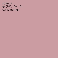 #CB9CA1 - Careys Pink Color Image