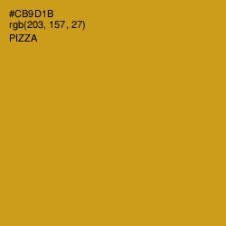 #CB9D1B - Pizza Color Image