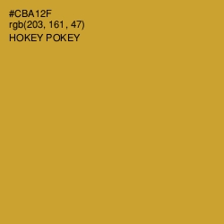 #CBA12F - Hokey Pokey Color Image