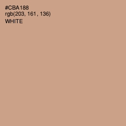 #CBA188 - Indian Khaki Color Image