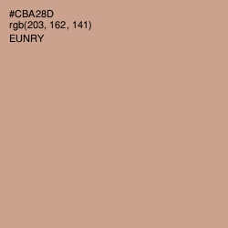 #CBA28D - Eunry Color Image