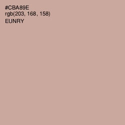 #CBA89E - Eunry Color Image