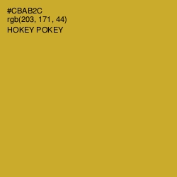 #CBAB2C - Hokey Pokey Color Image