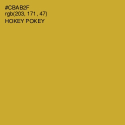 #CBAB2F - Hokey Pokey Color Image
