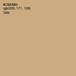 #CBAB80 - Tan Color Image