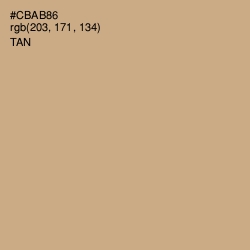 #CBAB86 - Tan Color Image