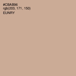 #CBAB96 - Eunry Color Image