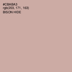 #CBABA3 - Bison Hide Color Image