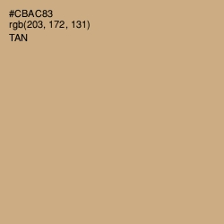 #CBAC83 - Tan Color Image