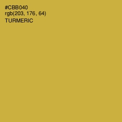 #CBB040 - Turmeric Color Image