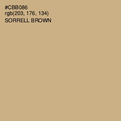 #CBB086 - Sorrell Brown Color Image