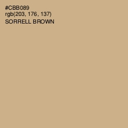 #CBB089 - Sorrell Brown Color Image