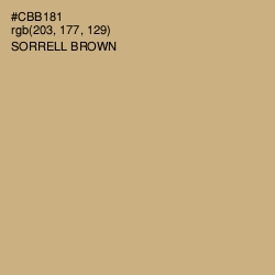 #CBB181 - Sorrell Brown Color Image