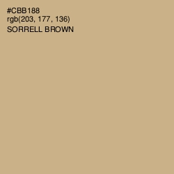 #CBB188 - Sorrell Brown Color Image