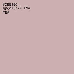 #CBB1B0 - Tea Color Image