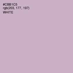 #CBB1C5 - Pale Slate Color Image
