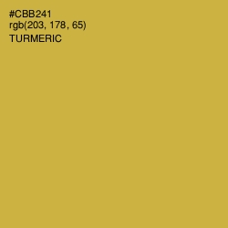 #CBB241 - Turmeric Color Image