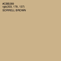 #CBB289 - Sorrell Brown Color Image