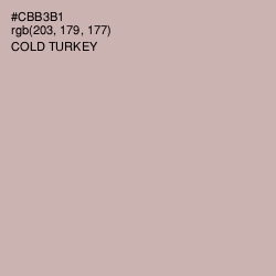 #CBB3B1 - Cold Turkey Color Image
