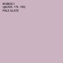 #CBB3C1 - Pale Slate Color Image