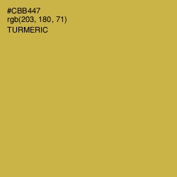 #CBB447 - Turmeric Color Image