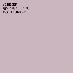 #CBB5BF - Cold Turkey Color Image