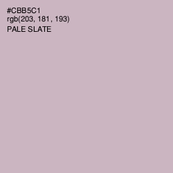#CBB5C1 - Pale Slate Color Image