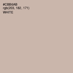 #CBB6AB - Coral Reef Color Image