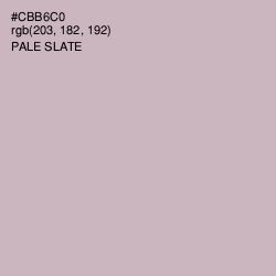 #CBB6C0 - Pale Slate Color Image