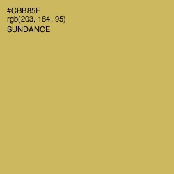 #CBB85F - Sundance Color Image