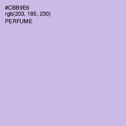 #CBB9E6 - Perfume Color Image