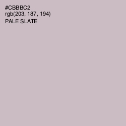 #CBBBC2 - Pale Slate Color Image