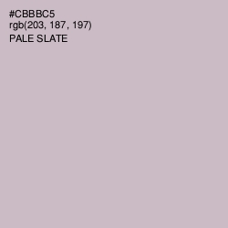#CBBBC5 - Pale Slate Color Image
